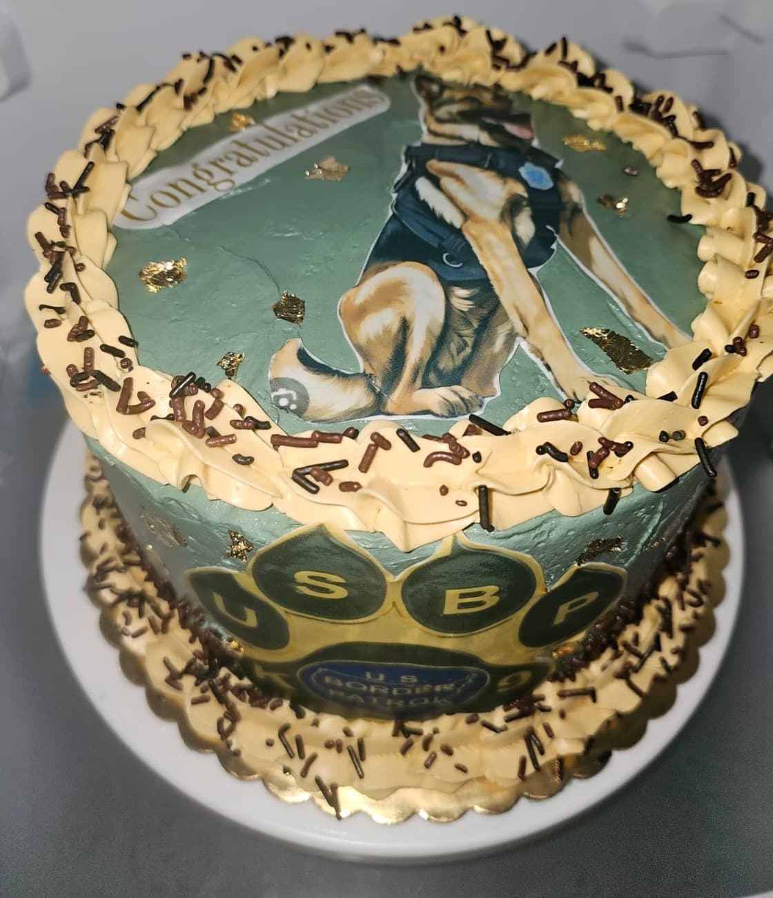 K-9 congratulations cake